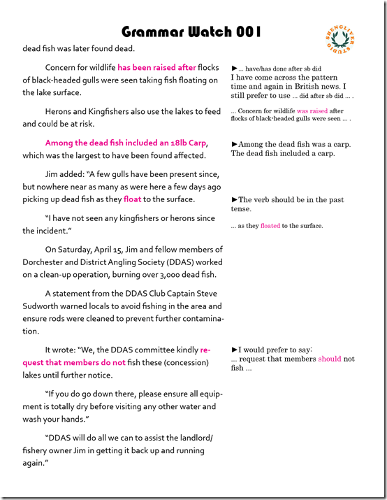 blog grammar watch 0012